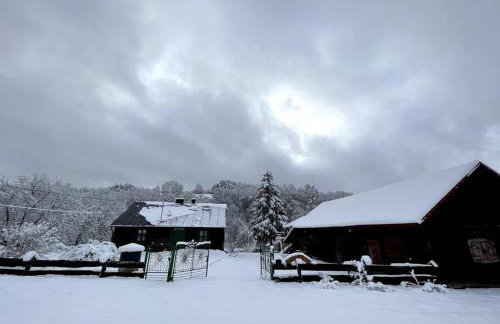 Drewniana chata nad stawem - Foto 6