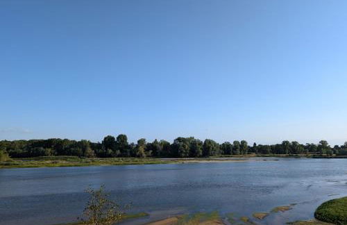 Maison de marinier les pieds dans l'eau face à la Loire - Photo 16
