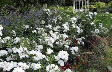 Urlaubsoase und Meehr - Foto 16