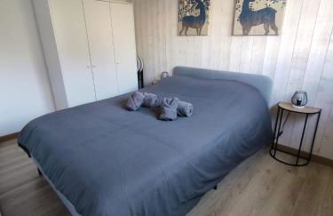 ThiLuCha Le ThiLu ALPE D'HUEZ gd domaine à Allemont - Foto 16