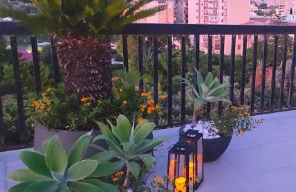 Gebel Grin - Foto 17