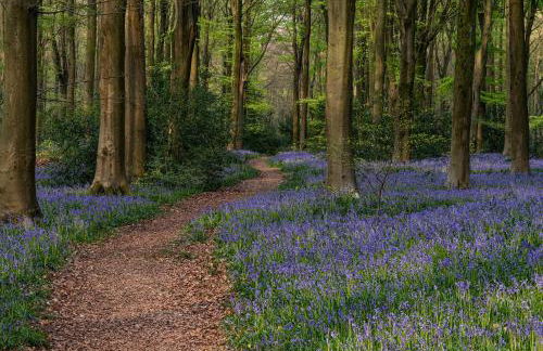Outlander Glencoe at Creag an-t Sionnaich Glencoe Ballachulish Highlands Near Fort William - Foto 62