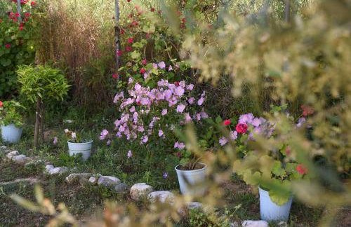 Mina Apartments - Foto 21