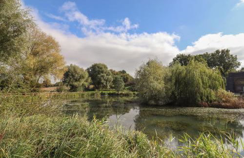 The Tunnel at Bridge Lake Farm and Fishery - Foto 43