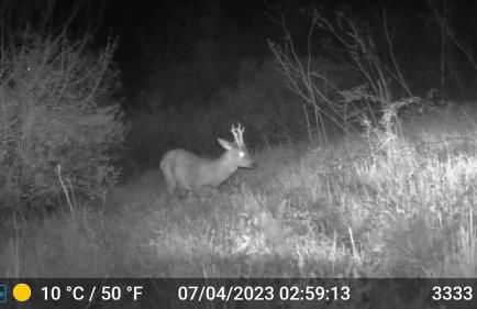 Casa nei 3 alberi, Molise - Foto 59