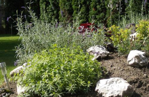 Apartamenty Nad Wisłą - Foto 29