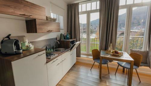 MAINTERRASSE Boardinghouse am Fluss klimatisierte Apartments mit 80qm Terrasse - Foto 5