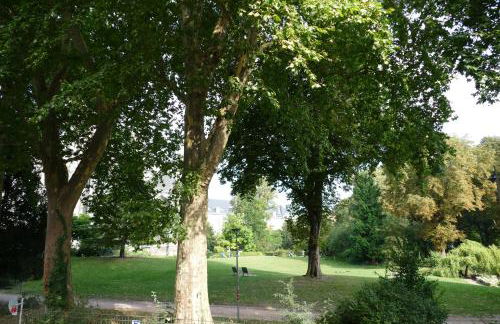 Studio jardin de l'hôtel de ville - Foto 21