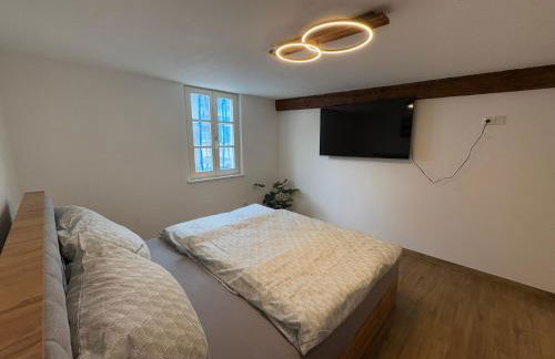 Apartmenthaus Alte Scheune Gunzenhausen - Foto 26