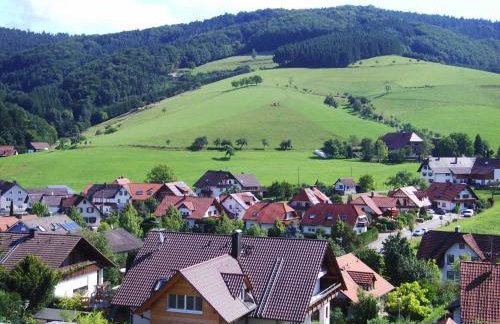 Ferienwohnung Himmelsbach - Photo 6