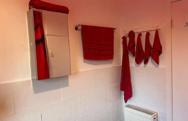 Skyline Self-Service - Foto 11