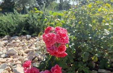 Relais Villa Sofia - Foto 22