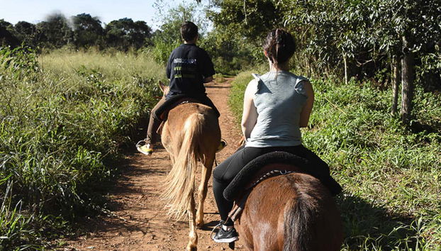 Passeio a cavalo pela selva