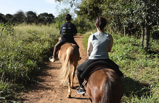 Passeio a cavalo pela selva de Iguazú - Foto 2