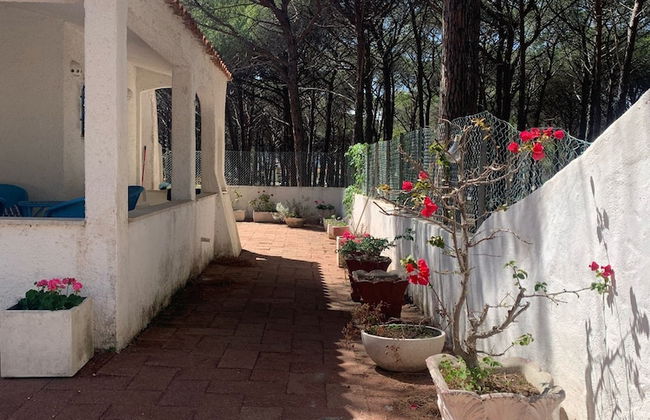 Splendid Detached Villa, Near the sea - Foto 20