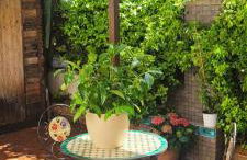 Aventino Flat - Foto 10