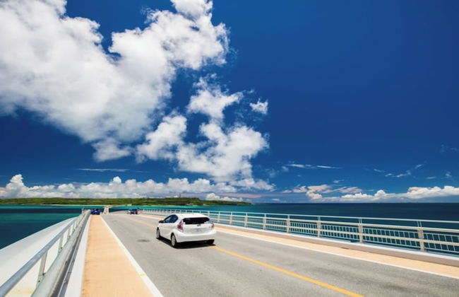 Villa Amalfi - Photo 37