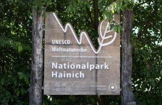 WaldResort - Am Nationalpark Hainich - Foto 33