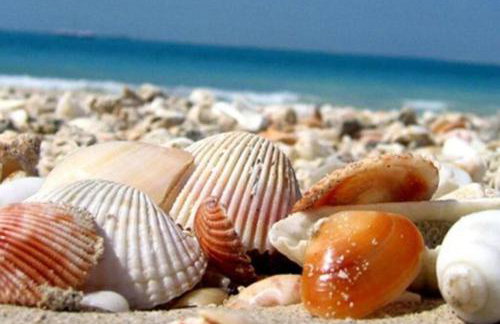 Villa M & M 3 bed 2 bath and a gorgeous pool - Foto 12