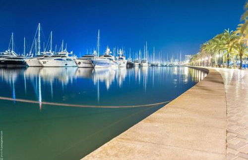 Villa Teulera in Palma de Mallorca - Photo 97