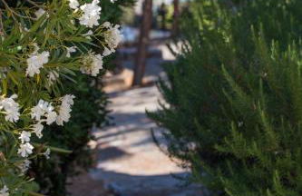 Monemvasia Village (ex Topalti) - Photo 64