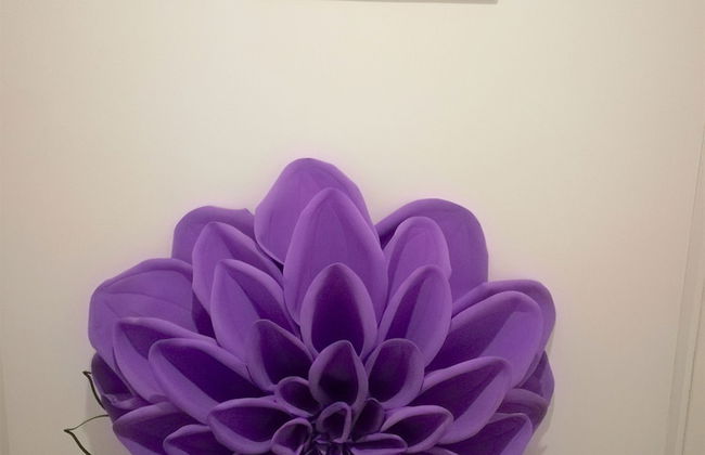 SOL CARIBE SUITES DELUXE Beach Club and Pool - Foto 67