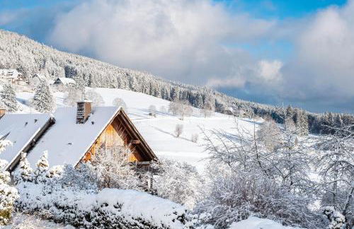 Haus Doktor Saeltzer - Photo 51
