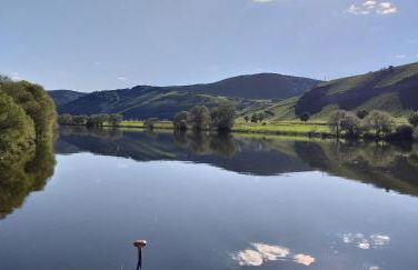 Mosel-Auszeit - Foto 10