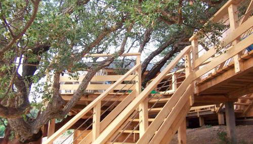 Albaria Lodge - Foto 3