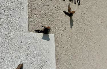 gîte le nid - Foto 34