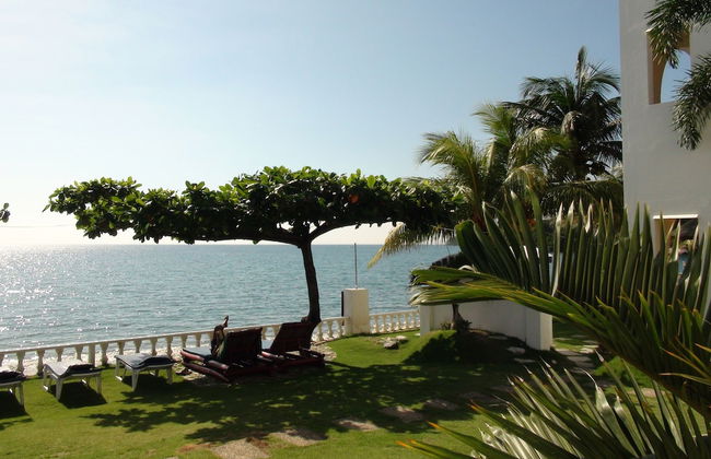 Squares Cafe and Apartments - Foto 43