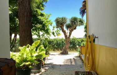 Quinta da Trombeta - Foto 41