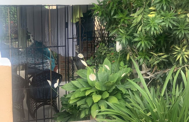 Jazmin Apartments Vacations - Foto 22