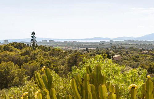 Rustica s'Aranjassa - Photo 43