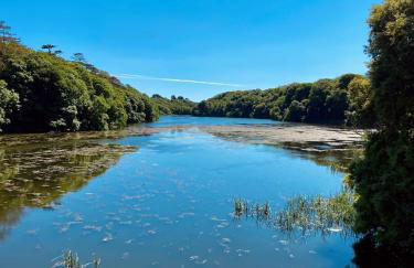 Highgate Mountain - Foto 17