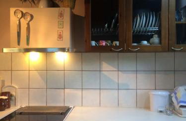 ΕΞΟΧΙΚΗ ΚΑΤΟΙΚΙΑ ΕΥΑΓΓΕΛΙΑ - Foto 12