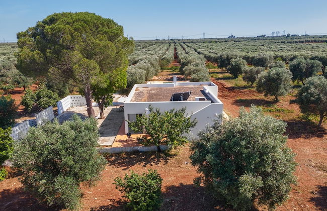 3538 Villa Sylvia by Perle di Puglia - Foto 46