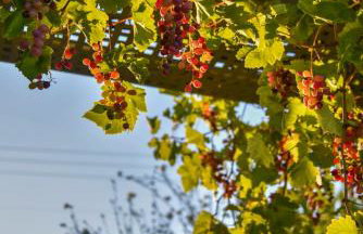 VillaBayViewCrete - Foto 66