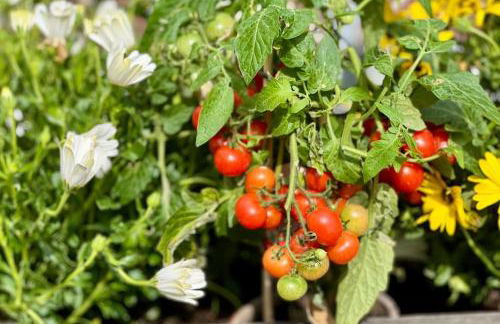 Rooftop Triplex with Garden at Notre Dame - Foto 28