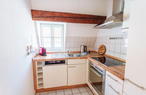 Regensburger Ferienwohnungen - Im Herzen der Altstadt - Foto 73