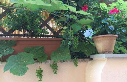 Testaccio historic house - Foto 60