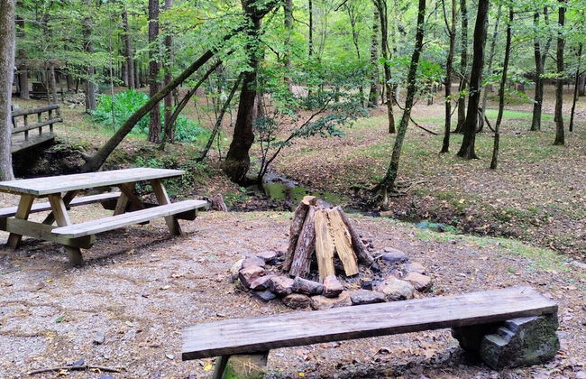 Bean Creek Cabins - Foto 5