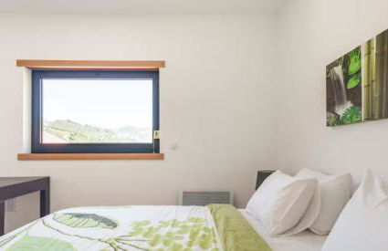 Valadouro Amazing Villa in Douro Valley - Pool - Foto 12