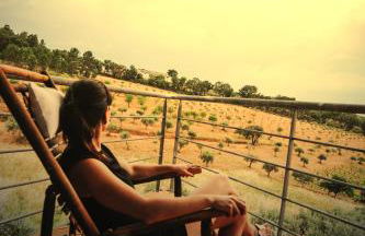 Bela Vista Silo Housing - Foto 10