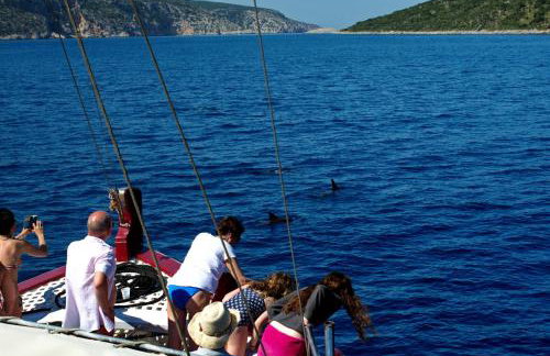 Lidromi Home (Blue) - Foto 33