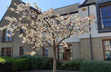 Roseford Apartment, Crail - Foto 24