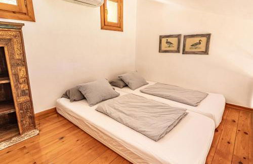 Finca Lechuza - Photo 45