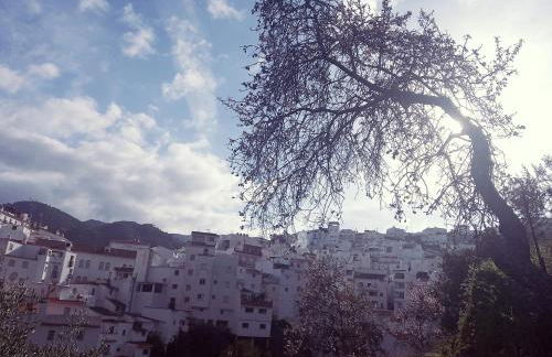 Casa Pepe La Rosa Atico - Foto 34