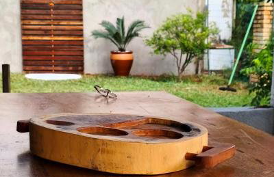 Chalé Triunfo - Foto 12