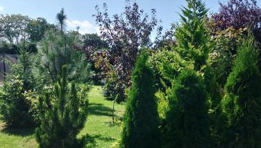 Słoneczny domek - Photo 2